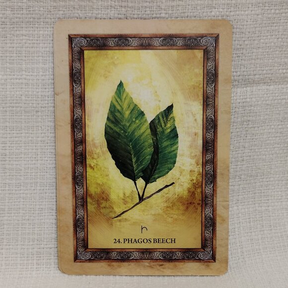 Celtic Tree Oracle - Picture 12 of 12